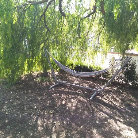 Casa Vacanze Nuova Con Ampio Giardino Attrezzato * San Domino